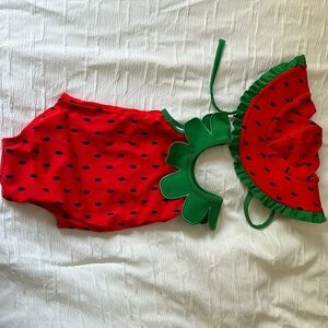 Hanna Anderson swimsuit